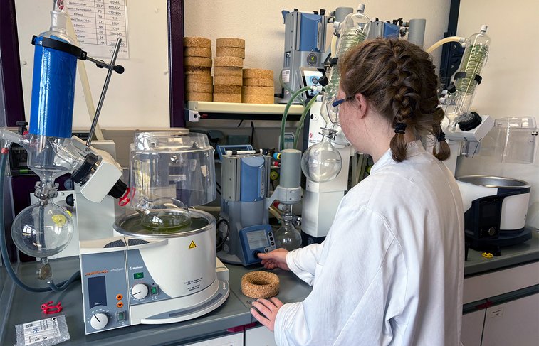 Chemistry lab user working at a benchtop table on a vacuum pump connected with a rotary evaporator with the goal of preparing samples for food analysis.